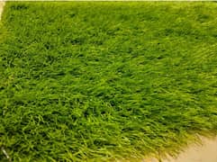 Artificial Grass Carpet 6*10 feet 50mm