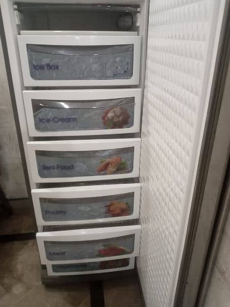 Box Freezer 1