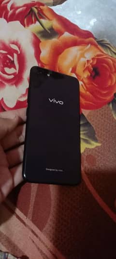 vivo