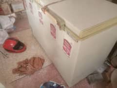 deep freezer for shop or home use is available for sale