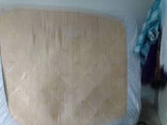 molty foam spring mattress