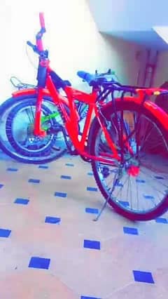 Cycle for sale