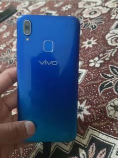 vivo