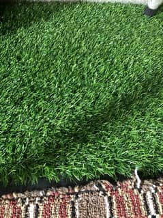 Asto Turf (Artificial Grass)