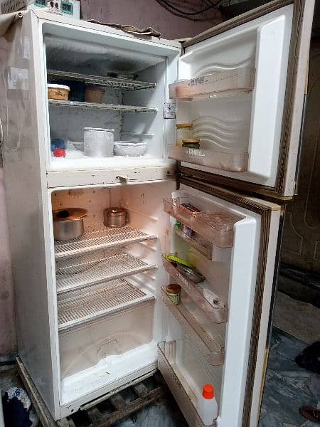 freezers all okay 1