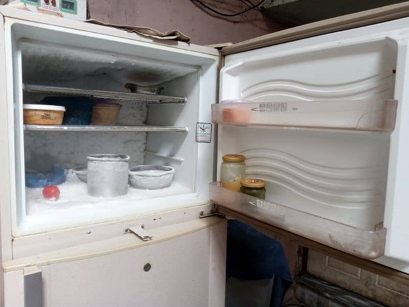 freezers all okay 3