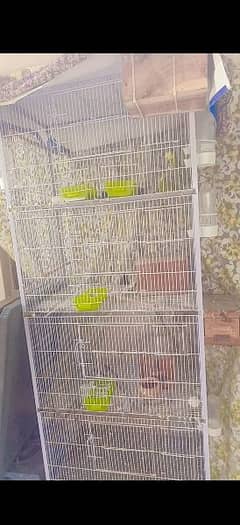 Contact no 0330 1941395 Parrot cage with Australian birds