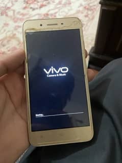 vivo