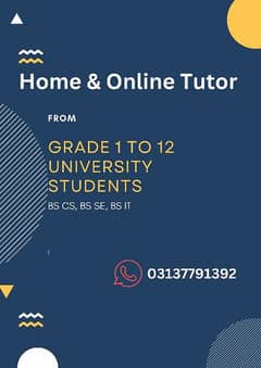 Home and Online Tutor