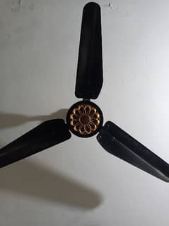 Fancy Full Size 56" Ceiling Fan - ceilling fan pankha - پنکھا