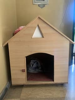 dog house / cat house