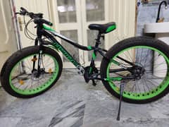 Morgan Fat Bike For Sale