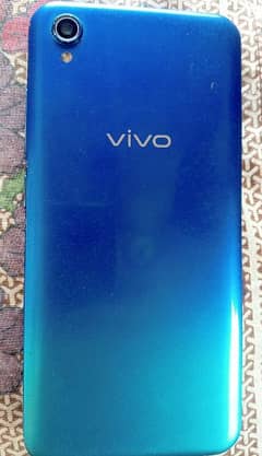 vivo