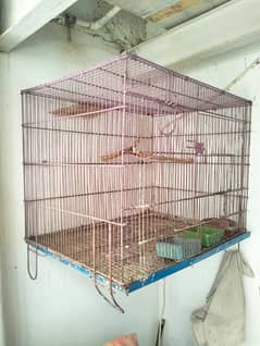 Cage for parrots cat hen