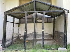 Steel bird cage