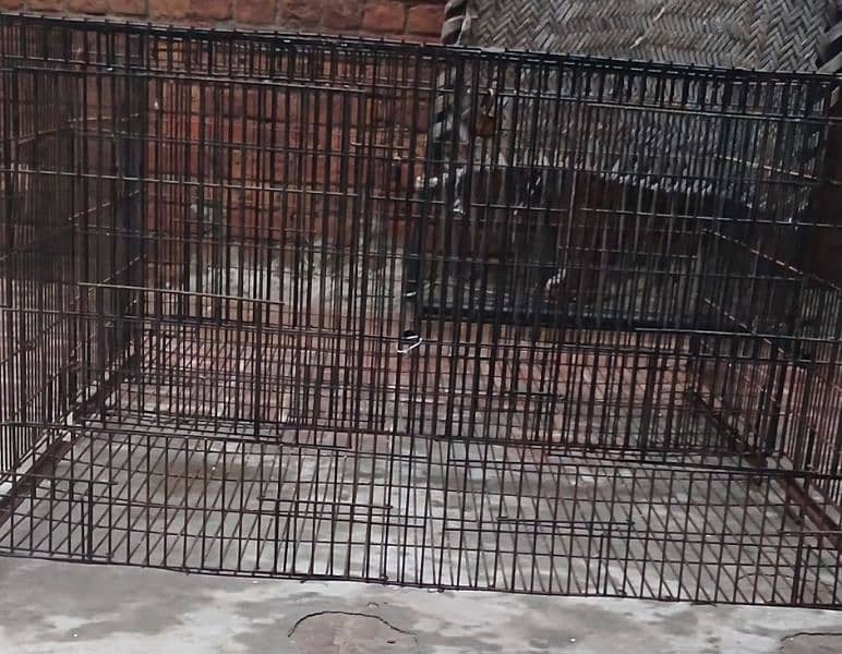 cage for sale 1