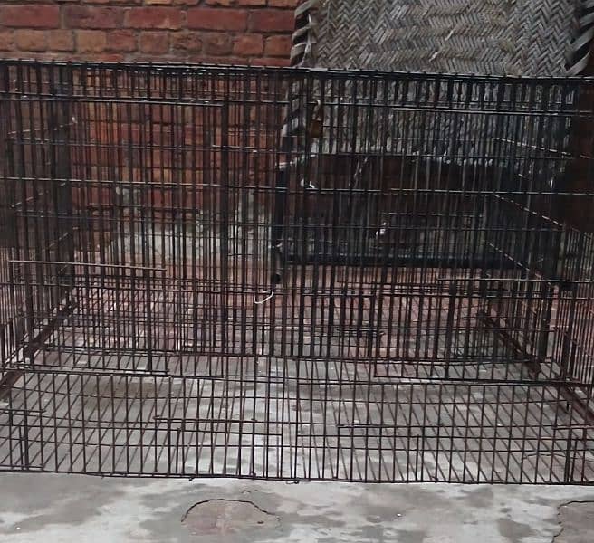 cage for sale 2