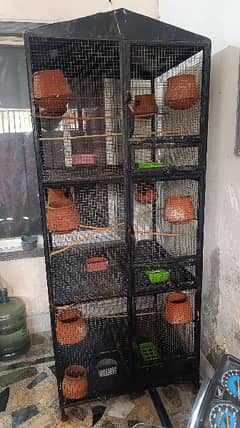 Birds cage with all accessories