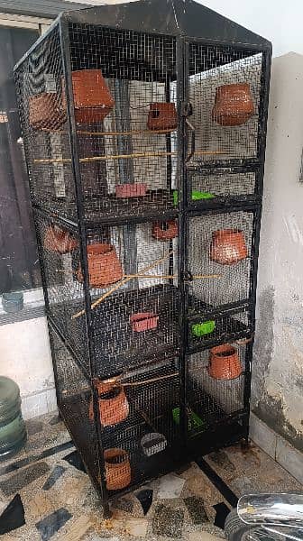 Birds cage with all accessories 2