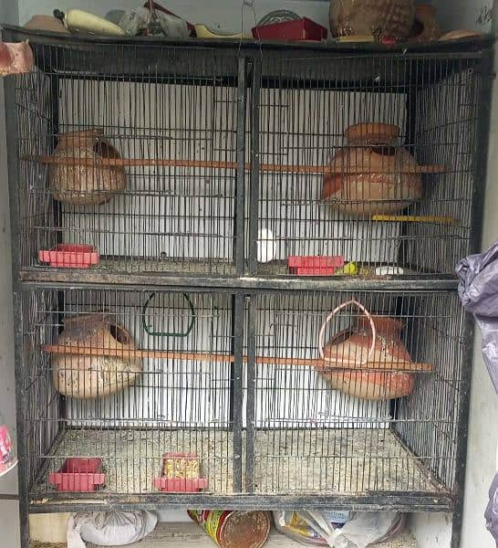 04 portion Cage size 3.5ft*3.5ft 0