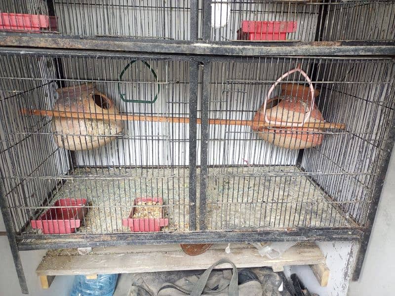 04 portion Cage size 3.5ft*3.5ft 2