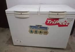 Waves double door freezer