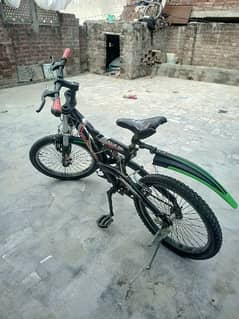 Bicycle with Front Shocks