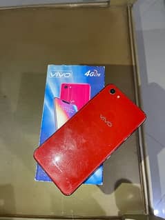 Vivo