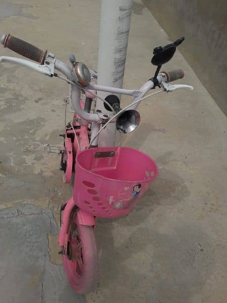 girl bicycle 2