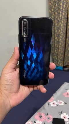 vivo