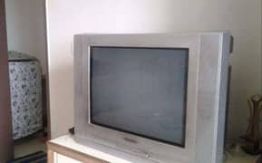 Samsung Plano Tv 25 inch