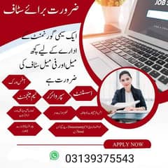 Data entry/call operator/management/ advisor/office boy/Admin