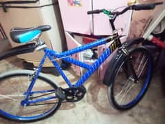 Cycle big size 0