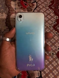 vivo