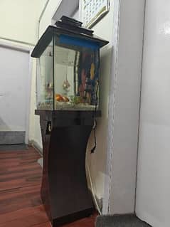 aquarium for sale