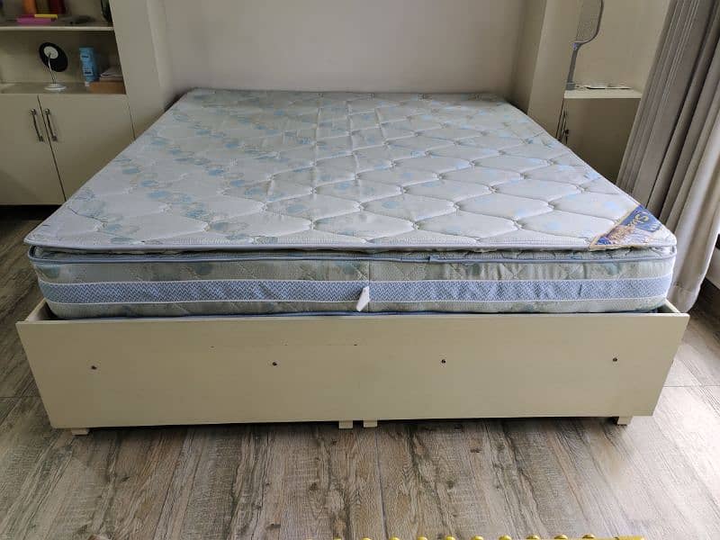 King size  Master spring mattress 6