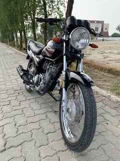 Yb 125z Yamaha || 03036709611