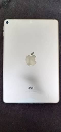 Ipad Mini 5