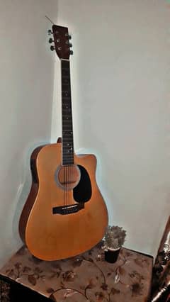 Vozzex Guiter For Sale