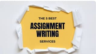 assignment writter