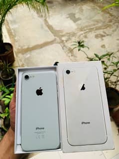 iphone 8 white colour  pta approve 64 GB complete box
