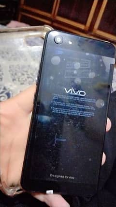 Vivo