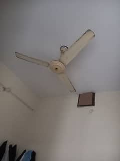 Fan