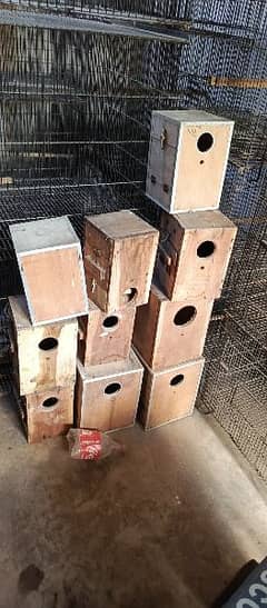 all sets up birds cage / wood box  / Cage for sale / Cage / Birds cage