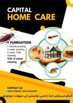 Dengue/ Fumigation spray/ sofa & water tank cleaning
