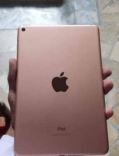 Apple Ipad Mini 5