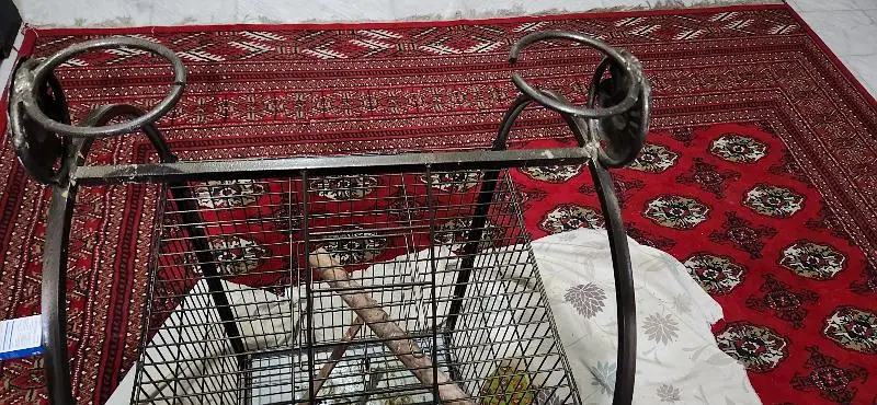 iron cage — photo 4