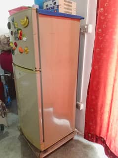 pell Refrigerator / fridge / refrigerator for sale