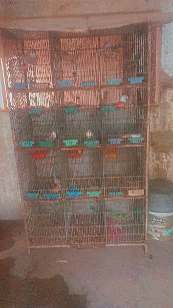 Full Step For sale Birds Cages urgent For Sell 3