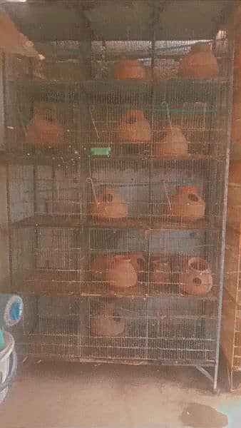 Full Step For sale Birds Cages urgent For Sell 6